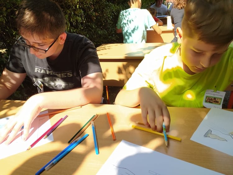 Ifjúsági és Vakációs Bibliahét 45